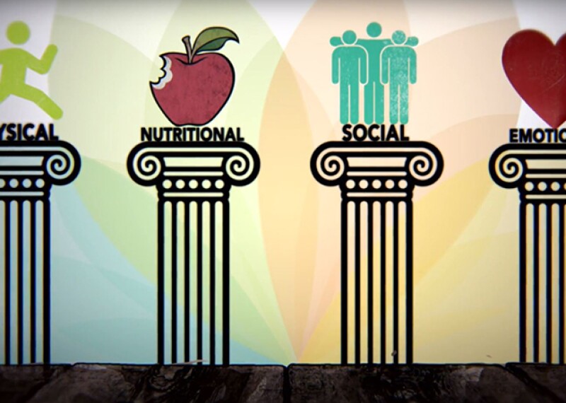 Illustration of the four pillars of health: Physical (runner illustration); Nutritional (apple with a bit out of it); Social (illustration of three people with the middle illustrations arms outstretched); Emotional (heart) Illustrations are on a colorful SO fit background. 